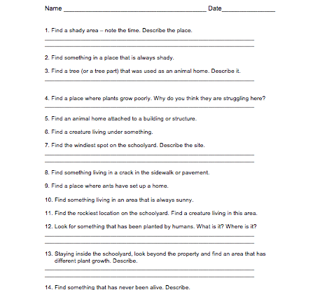 Schoolyard Scavenger Hunt student activity resource