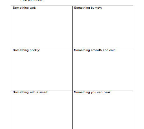 senses nature scavenger hunt student activity resource