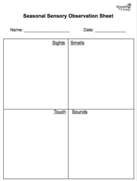 Senses of the Seasons student activity resource worksheet