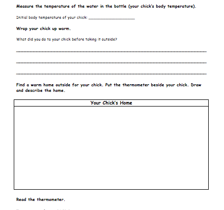 shelter warmth chicks version student activity resource