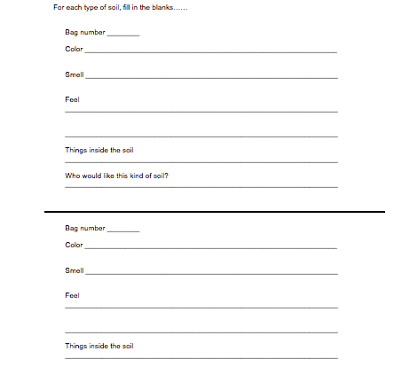 soil study student activity worksheet resource