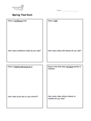 Spring tree hunt student activity resource worksheet