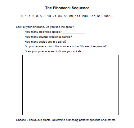 Fibonacci Sequence Extended student learning resource math activity