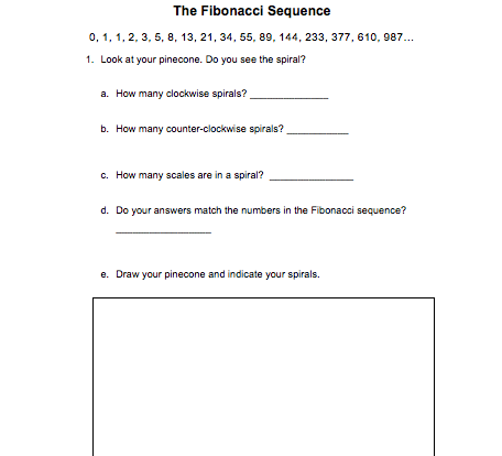 Fobanacci Sequence student resource math worksheet