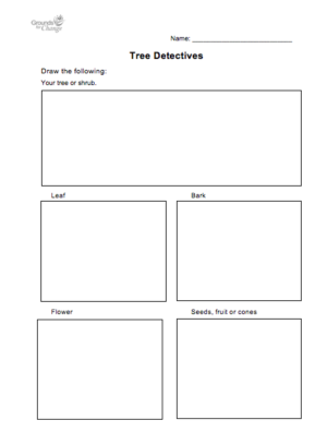 Tree detectives student activity resource