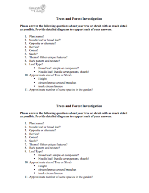 Trees and forest investigation fun learning activity