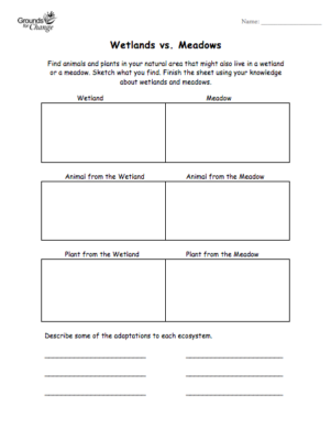 wetlands vs meadows comparison learning resource for students