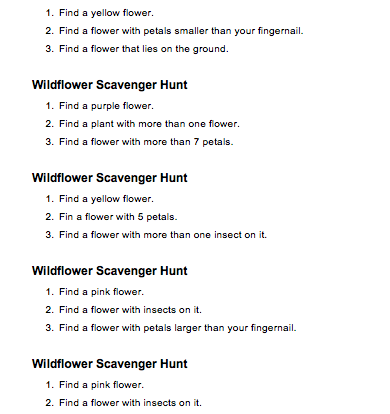 wildflower hunt student activity resource