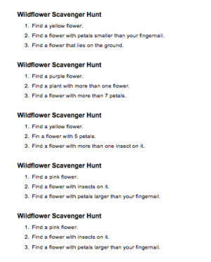 wildflower hunt student activity resource